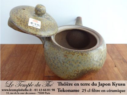 TOKONAME Kyusu du Japon Céramique 25 cl environ