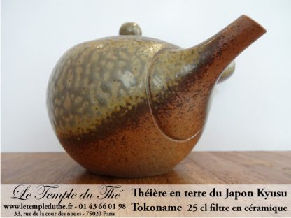 TOKONAME Kyusu du Japon Céramique 25 cl environ