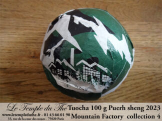 Tuocha 100 g Puerh Sheng 2023 Collection 4 Moutain Factory