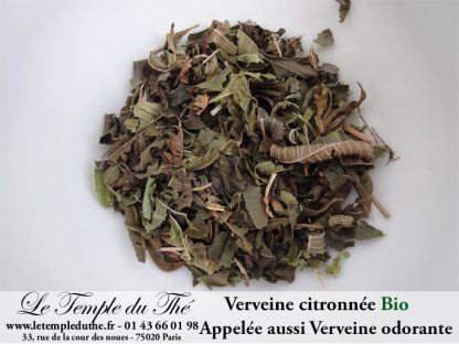 Verveine BIO citronnée (appelée aussi Verveine odorante)