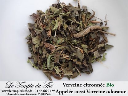 Verveine BIO citronnée (appelée aussi Verveine odorante)