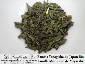 yanagicha-morimoto-2020