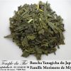 Thé vert du Japon BIO Bancha Yanagicha Printemps 2024 petits producteurs – Image 5