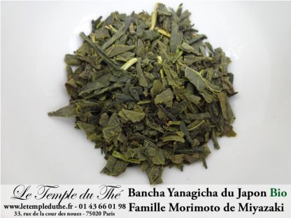 Thé vert du Japon BIO Bancha Yanagicha Printemps 2022 petits producteurs