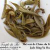 Thé vert de Chine Yunnan Jade Ring Yu Huan printemps 2024 – Image 3